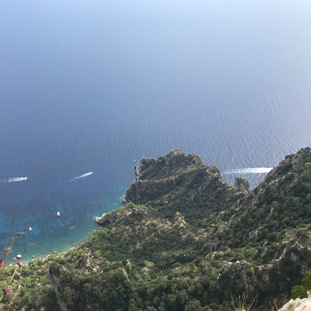 Meet your Posher, Deli